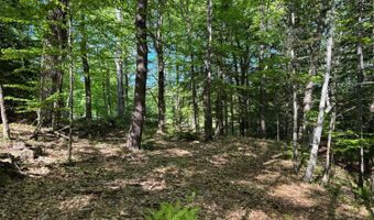 Peaked Hill Road, Bristol, NH 03222