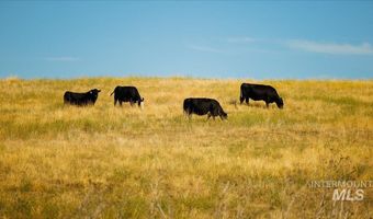 3127 Us Hwy 95, Cambridge, ID 83610