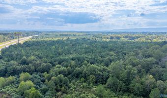 77 Acres Wilson St, Attalla, AL 35954