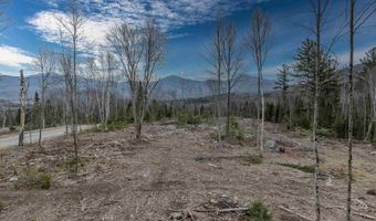 Ridge Road lot 42, Bethlehem, NH 03574