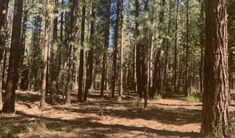 Edgewater Way lot 84, Adin, CA 96006