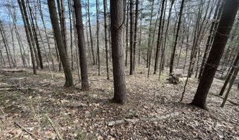 Strouds Run Rd, Athens, OH 45701