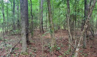 2780 Jackson Liberty Rd, Bogue Chitto, MS 39629