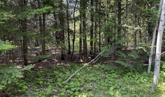 TBD Lot E Gratiot River, Allouez, MI 49805
