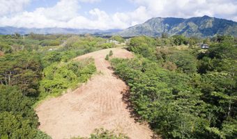 HAUIKI RD 2, Kapaa, HI 96746