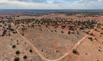 76 County Road N5552, Concho, AZ 85924