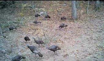 0 Swaim Hill Rd, Batesville, AR 72501
