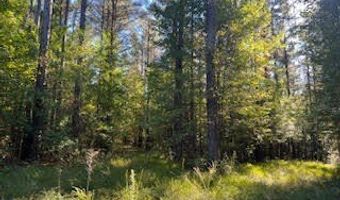 Perry Chapel Road, Ashland, MS 38603