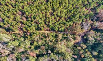 0 County Road 127, Banks, AL 36005