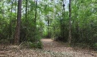 0 Peapatch Rd, Biloxi, MS 39532