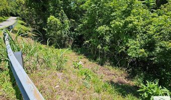 49- LOT Cedar Hill Dr, Bassett, VA 24055