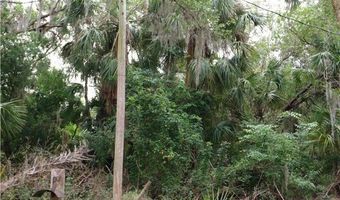 2998 SW Armadillo Trl, Arcadia, FL 34266