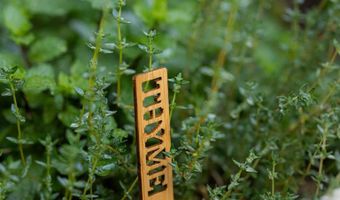 3612 Polk Ave, San Diego, CA 92104