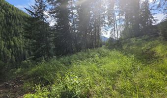 480 Dunn Peak Rd, Avery, ID 83802