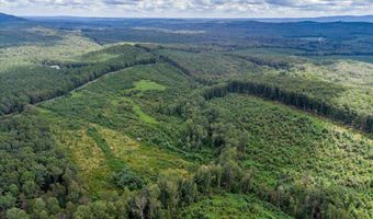 62- Acres Grandmas Hill Rd, Amherst, VA 24521