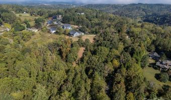 19 Woodchuck Cove Way, Alexander, NC 28701