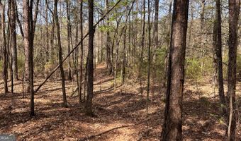 Piedmont Road, Barnesville, GA 30204