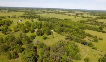 1250 County Road 405, Alton, MO 65606