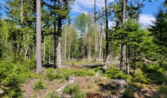 W Appleton Road, Appleton, ME 04862