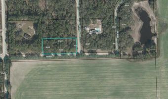 TBD 62nd Pl, Bell, FL 32619