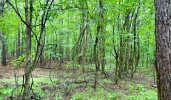 CR 265, Bruce, MS 38915