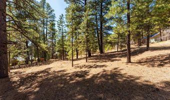 116 Pine Dr, Bayfield, CO 81122