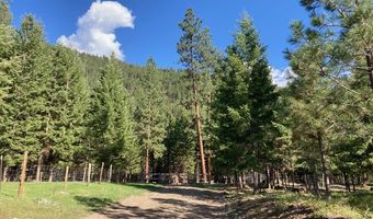 2368 Petty Creek Rd, Alberton, MT 59820