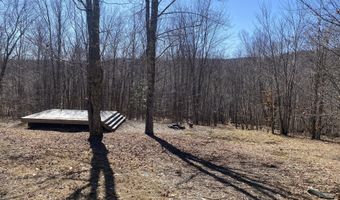 L21.1 Alder Pond Road, Andes, NY 13740