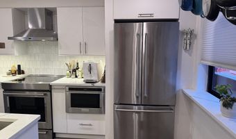 927 VINE St, Aspen, CO 81611