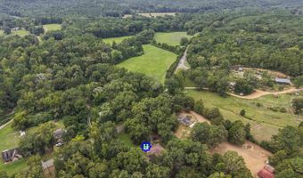 9999 LOCK 17 Rd, Adger, AL 35006
