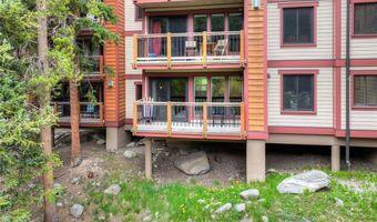 805 Columbine Rd 102, Breckenridge, CO 80424