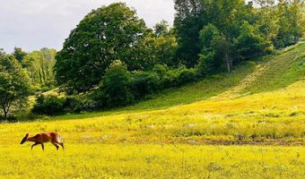 Westerly Ridge Drive lot 4, Amenia, NY 12501