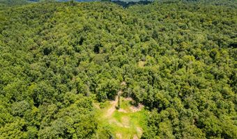 2291 Blankey Branch Rd, Beattyville, KY 41311