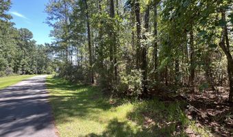 9918 Canady Landing Rd, Aurora, NC 27806