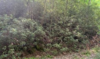 Lot 2 Calvin Cove 2, Almond, NC 28702