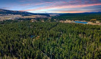 235 Willow Ln Lot 4, Alma, CO 80440