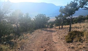 1387 Meeteetse Trl, Belfry, MT 59008