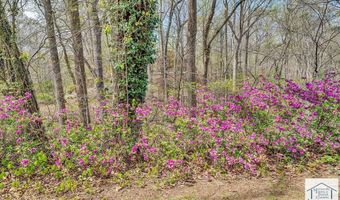 731 Bassett Heights Rd, Bassett, VA 24055