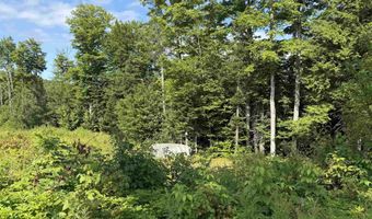 1559 Pinkham Road Lot # 3 & 4, Burke, VT 05832