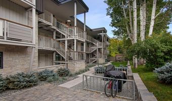 100 E Dean St 3B, Aspen, CO 81611