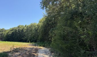 006 H Wallace Buie Rd, Ashford, AL 36376