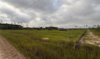 9 219 Ac Rhine Alma GA Rd, Alma, GA 31510