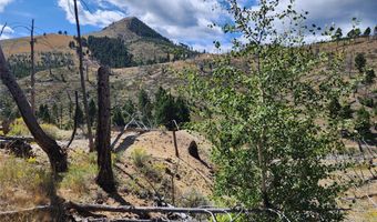 Nhn Plaindealer Lode Depot Hill Road, Boulder, MT 59632