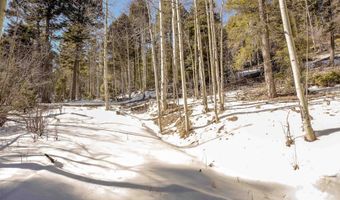 45 And 46 Sacramento Dr, Angel Fire, NM 87710