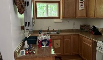 4205 Stoney Creek Rd, Afton, MI 49705