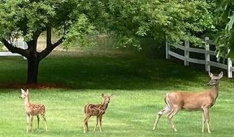 1532 34th St, Allegan, MI 49010