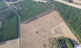 Lot D Hill Rd, Bishopville, SC 29010