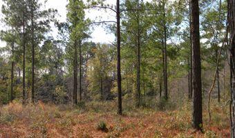 Harbor Rd lot 2, Andalusia, AL 36421