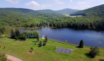 Timberland Drive, Andes, NY 13731
