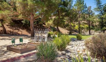 32201 Joaquin Dr, Acton, CA 93510